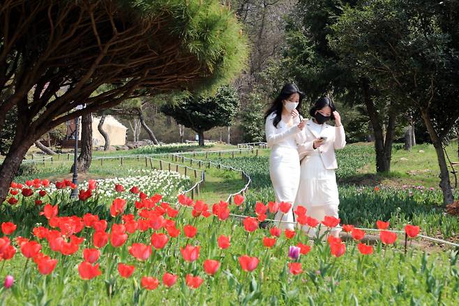 장흥 하늘빛수목정원. /남도일보DB