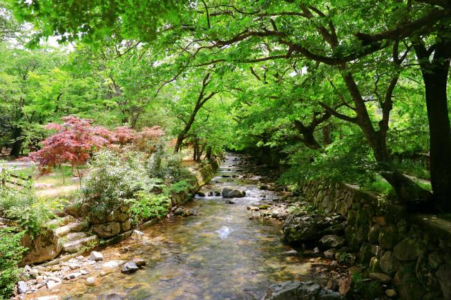 전남 해남 두륜산 장춘계곡. /남도일보 DB