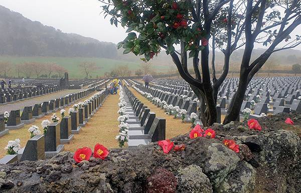 제주4.3평화공원 행방불명인 묘역 앞에 핀 동백꽃이 돌담 위에 내려앉았다. ⓒ제주의소리 자료사진