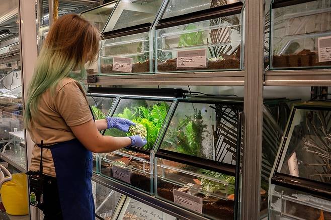 (사진 Chester Zoo 제공)/뉴스펭귄