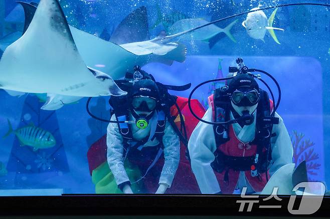 한복을 입은 스쿠버 다이버들이 설 연휴를 앞둔 10일 오전 서울 강남구 씨라이프 코엑스 아쿠아리움에서 새해 인사를 전하고 있다. 2026.2.10 ⓒ 뉴스1 안은나 기자