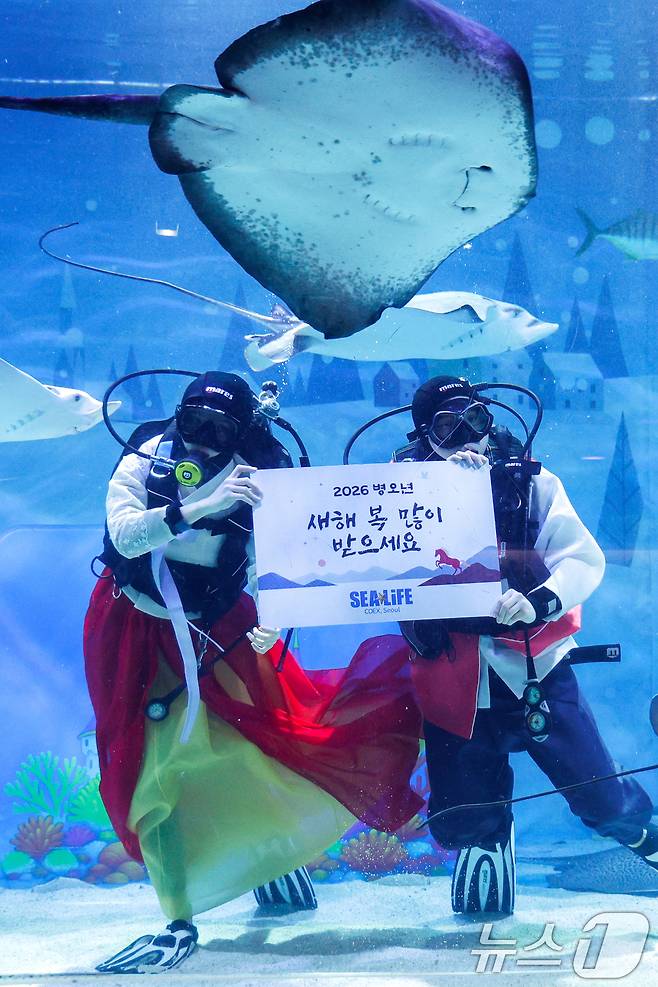 한복을 입은 스쿠버 다이버들이 설 연휴를 앞둔 10일 오전 서울 강남구 씨라이프 코엑스 아쿠아리움에서 새해 인사를 전하고 있다. 2026.2.10 ⓒ 뉴스1 안은나 기자