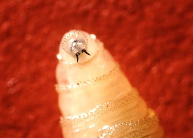 /사진=USDA 농업 연구 서비스