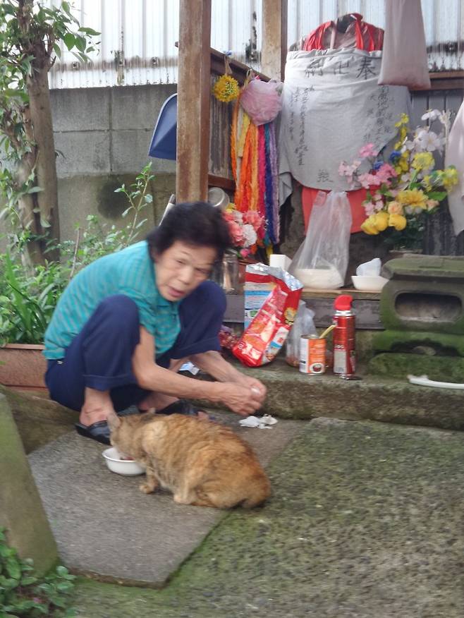 16년전 남편과 사별한 토모타씨(90)는 매일 오전 10시면 길고양이 밥을 들고 '미나미카와코(南側構)' 호코라를 찾는다. 주민들이 공양한 옷을 입은 석신은 뚱뚱해졌고, 인형과 꽃과 과자들도 공양으로 바쳐졌다. 머리가 없는 석신은 신불합사의 역사적 굴곡을 읽게 한다. 사진=전경수