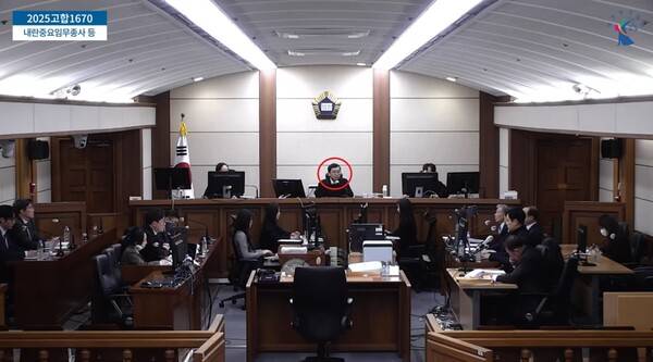 ▲이진관 서울중앙지법 형사합의33부 재판장이 9일 내란중요임무종사 사건 재판에서 박성재 전 법무부장관에게 계엄에 반대한 것이 맞느냐고 집중 추궁하고 있다.(일부 강조표시) 사진=서울중앙지법 영상 갈무리