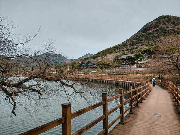 금평저수지 데크길.