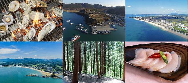 설연휴 가족 여행지로 떠오른 충남보령(천북굴단지, 오천면 충청수영청, 대천해수욕장, 무창포해수욕장, 성주산자연휴양림,새조개)