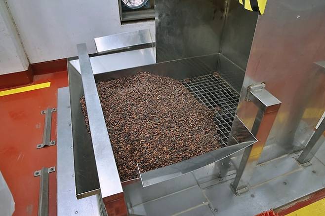 카카오빈이 투입되고 있다./사진=롯데웰푸드