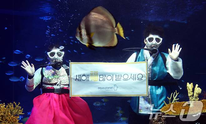 설 명절을 앞둔 11일 경기 수원시 영통구 아쿠아플라넷 광교에서 한복을 입은 아쿠아리스트들이 설 명절 인사를 하고 있다. 2026.2.11 ⓒ 뉴스1 김영운 기자