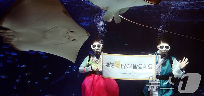 설 명절을 앞둔 11일 경기 수원시 영통구 아쿠아플라넷 광교에서 한복을 입은 아쿠아리스트들이 설 명절 인사를 하고 있다. 2026.2.11 ⓒ 뉴스1 김영운 기자