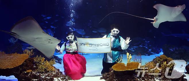 설 명절을 앞둔 11일 경기 수원시 영통구 아쿠아플라넷 광교에서 한복을 입은 아쿠아리스트들이 설 명절 인사를 하고 있다. 2026.2.11 ⓒ 뉴스1 김영운 기자