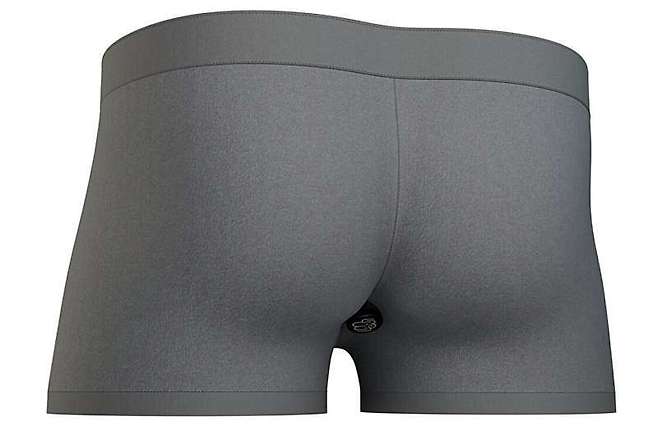 메릴랜드대학교 연구진이 개발한 스마트 속옷.