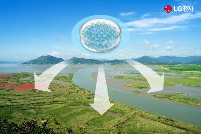 LG전자가 마린 글라스로 탄소중립 이행과 동시에 신소재 사업 경쟁력 확보에 나섰다. 사진은 순천만 갯벌에 마린 글라스를 적용하는 모습 예시. /사진제공=LG전자