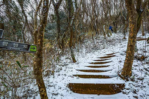 초입부터 치고 오르는 탐방로. 서두르지 않는 게 좋다.