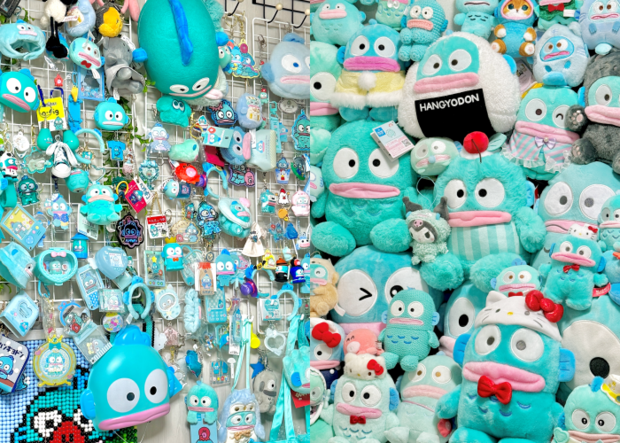 ‘한교동 덕후’ 김 씨가 수집한 한교동 굿즈들. 독자 제공