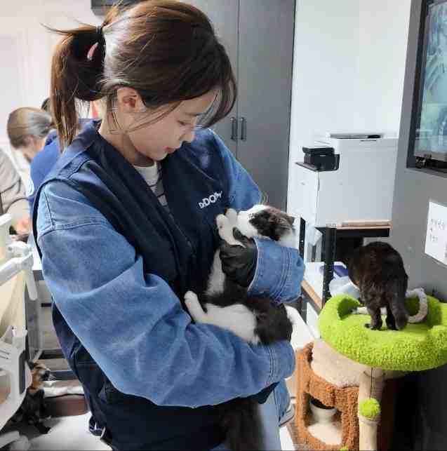 사진제공|닥터독