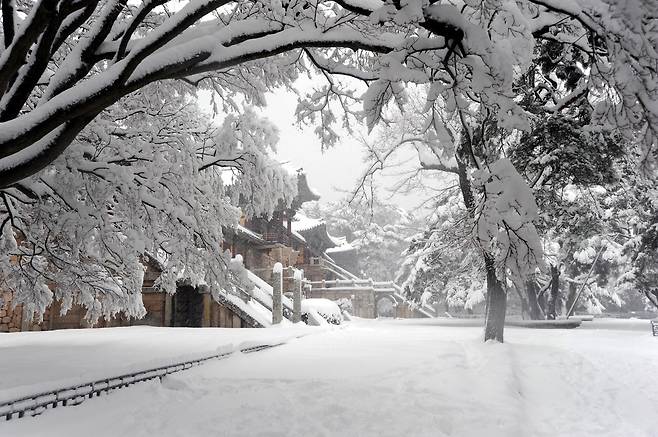 불국사가 설경 속에서 겨울 경주의 대표 문화유산다운 장관을 연출하고 있다./경주시 제공
