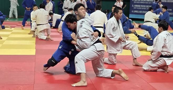 ▲ 영천실내체육관에서 동계 전지훈련에 참가한 중·고교 유도선수들이 다양한 기술을 연마하고 있다. 권오석 기자