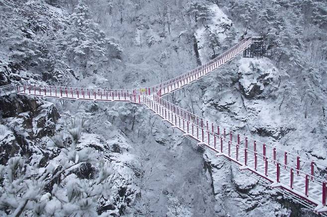 거창 항노화 힐링랜드 Y출렁다리 사진.