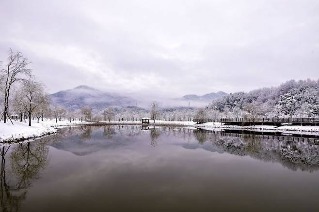 거창창포원 사진.