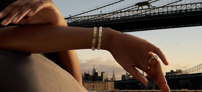 까르띠에의 러브 컬렉션 제품들. 사진=까르띠에 홈페이지