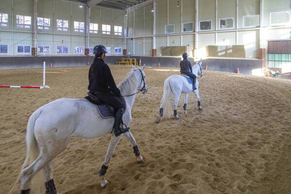 양평 곤들쌔들 승마클럽. 경기관광공사 제공