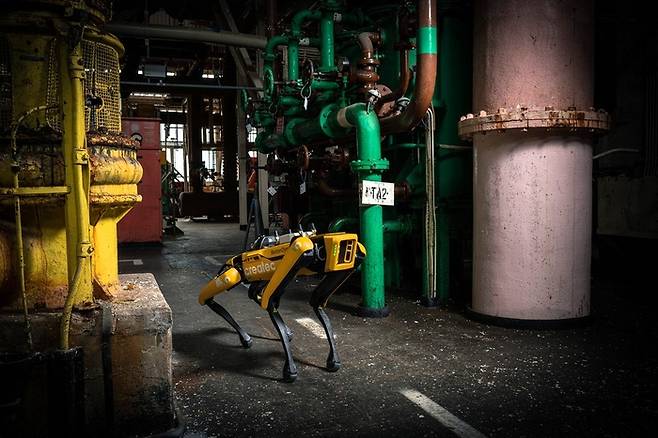 현대자동차그룹 로보틱스 계열사 보스턴다이내믹스의 ‘로봇개’로 유명한 4족 보행 로봇 ‘스팟’ [셀라필드 제공. 재판매 및 DB 금지]