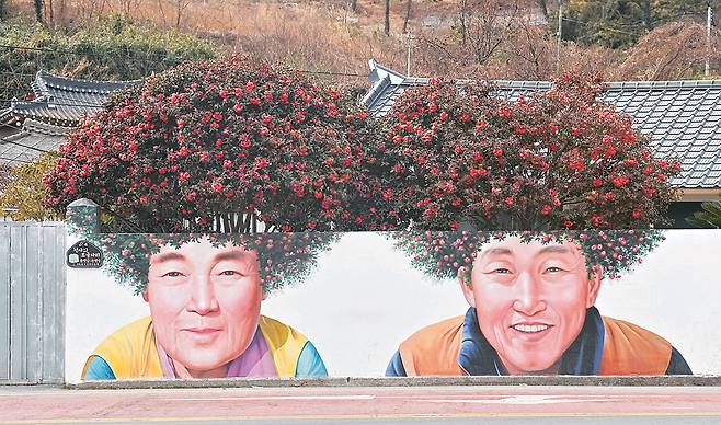 암태도 기동삼거리의 담장에 그려진 동백 파마 벽화. 담장 위의 붉은 동백꽃 3분의 2쯤이 가짜 꽃이다.