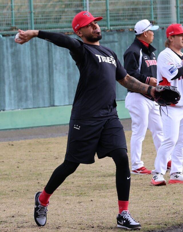 헤럴드 카스트로/KIA 타이거즈