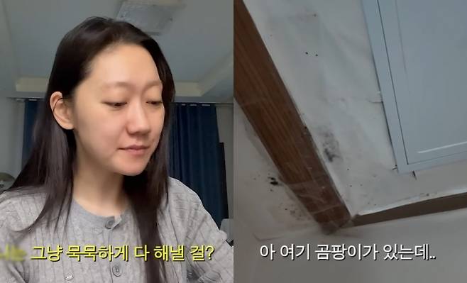 사진=유튜브 ‘경혜볼래’ 캡처