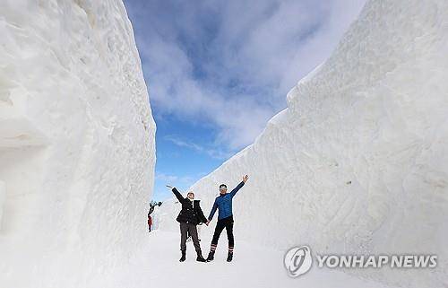 2025 대관령 눈꽃축제 즐기는 관광객들 [연합뉴스 자료사진]