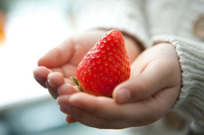 딸기 등 베리류는 몸속 염증을 퇴치하는 데 좋은 과일로 꼽힌다. 사진=클립아트코리아