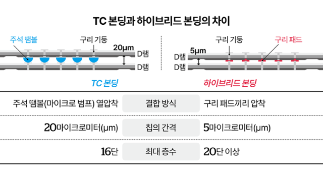 그래픽=이지원 기자