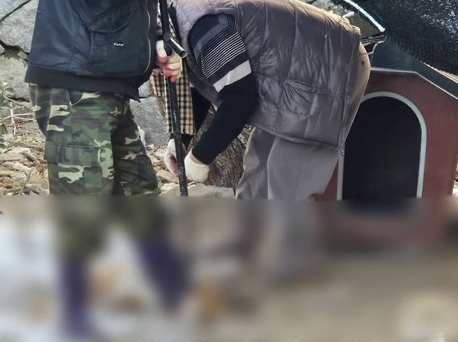 지난 2일, 두 남성이 강아지 한 마리를 제압하고 있는 모습  (사진 제공: 동물구조단체 위액트)