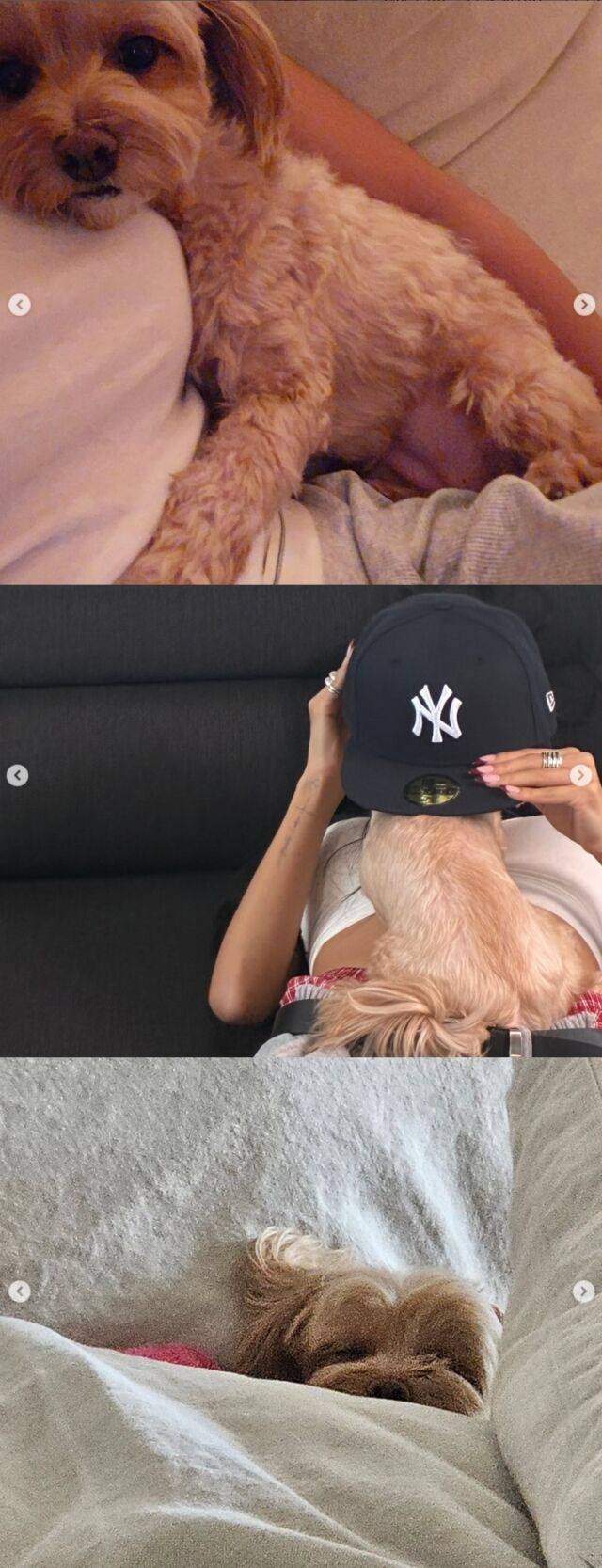 가수 화사가 반려견 ‘똥꼬’와 함께 보내는 평화로운 일상을 공개하며 팬들의 미소를 자아냈다. /화사 소셜미디어