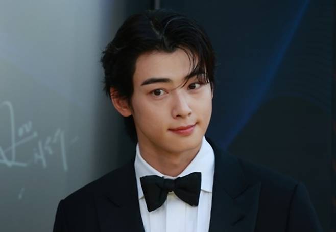 최근 서울지방국세청으로부터 200억원의 추징금을 통보 받은 배우 겸 가수 차은우. 연예 활동 정산금을 모친 명의의 법인으로 받아 탈세했다는 의혹을 받는다. [연합]