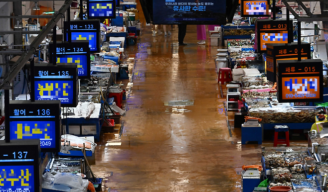 서울 동작구 노량진 수산시장. 이상섭 기자 .