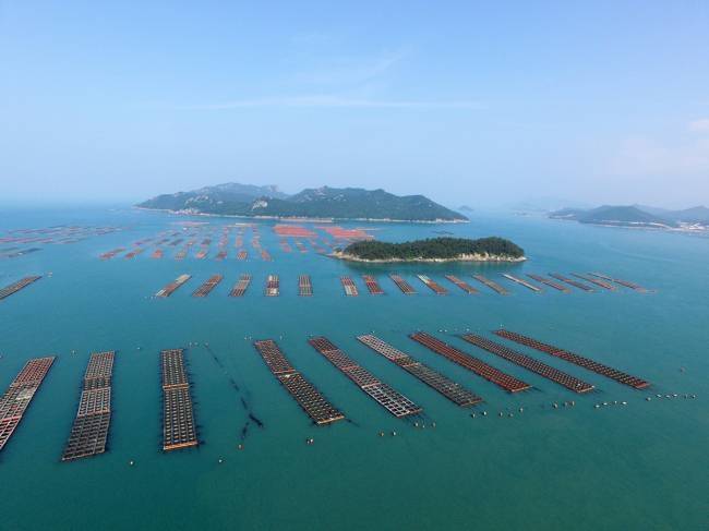 전복 양식장.[헤럴드DB]