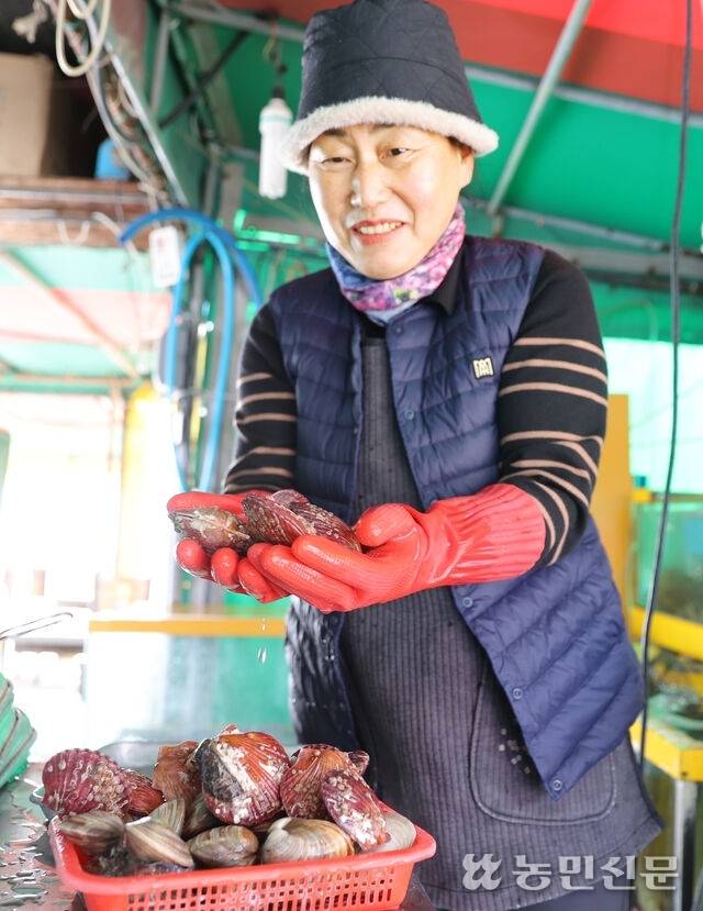 경기 안산시 단원의 노포 ‘동환네 조개구이’ 사장 김현옥씨. 안산＝김원철 프리랜서 기자