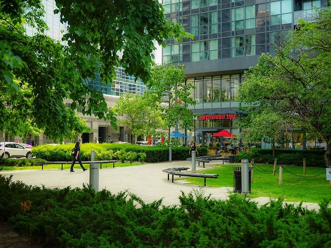 토론토 도심 곳곳에는 공원이 많아 높은 빌딩과 푸른 나무가 어우러진다