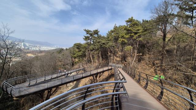 용두산 허리 따라 이어지는 지그재그 잔도.