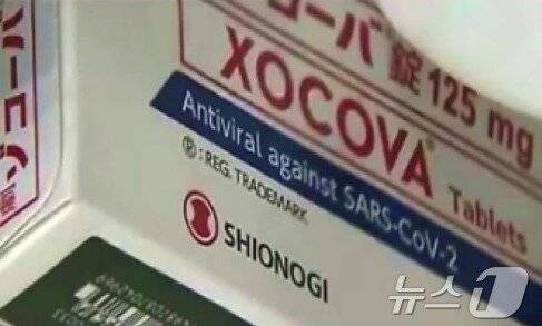 조코바. /제공=뉴스1