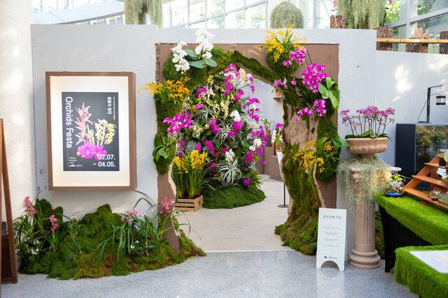 국립세종수목원 사계절전시온실 중앙홀에서 ‘Orchids Festa : 꽃들의 향연’ 전시를 한다. 국립세종수목원