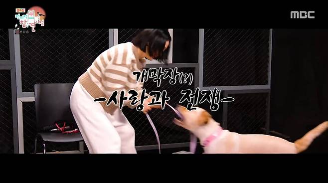 사진=MBC '전지적 참견 시점'