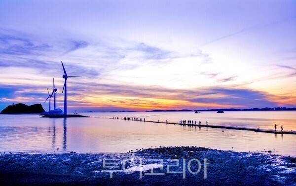 누에섬 전경 ／ 사진－안산시