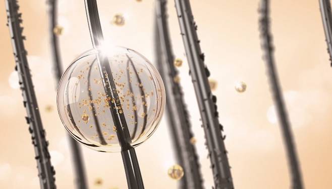 게티이미지뱅크 제공