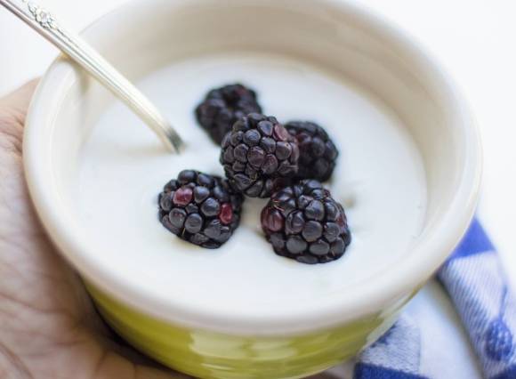 사진은 요거트. [사진=픽사베이]