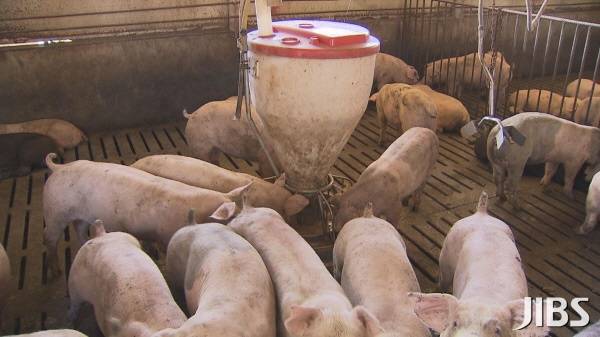 사진은 기사와 직접 관련 없음