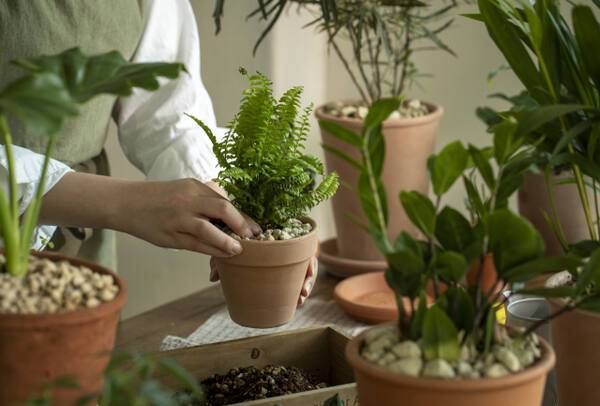 기사의 이해를 돕기 위한 이미지로 기사와 직접적 연관은 없습니다. 클립아트코리아