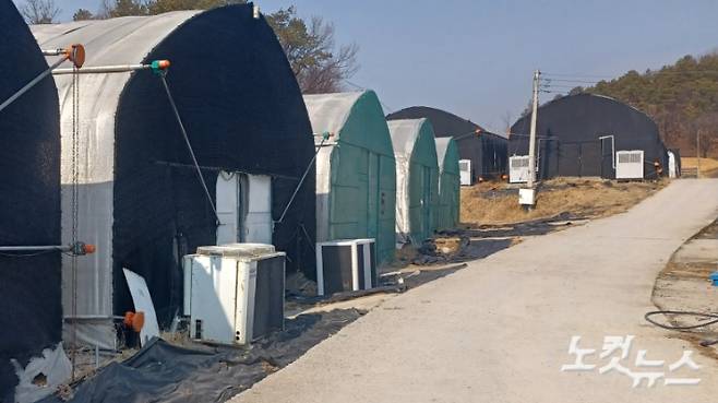 경기도 여주 오학동의 한 농경지. 버섯을 재배하는 마야의 일터. 김수진 기자